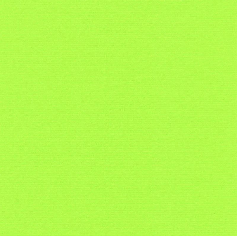 Papicolor original Nr. 08
