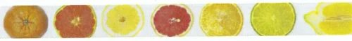 28 lint 25 mm met tutti-frutti opdruk