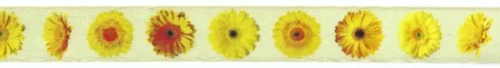 56 lint 25 mm licht geel met Gerbera's oranje/geel