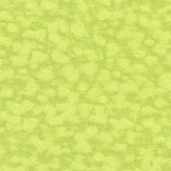 Papiplus