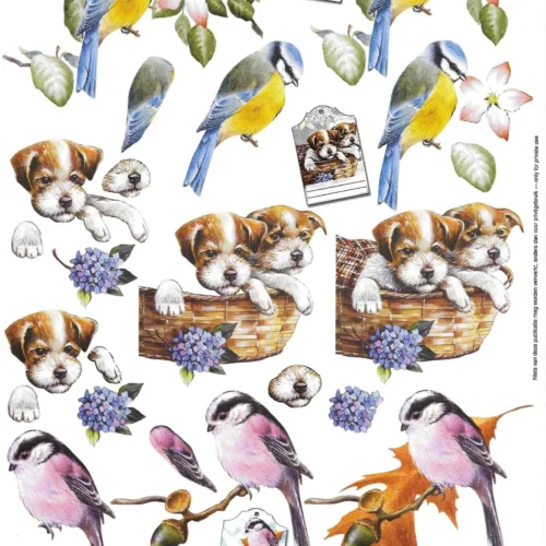 Knipvel Fauna - Dieren