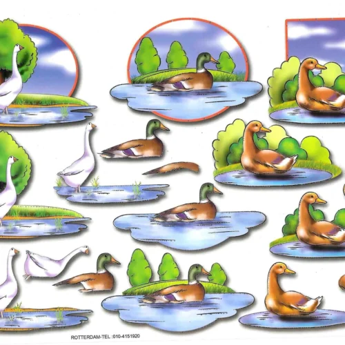 Knipvel Fauna - Dieren