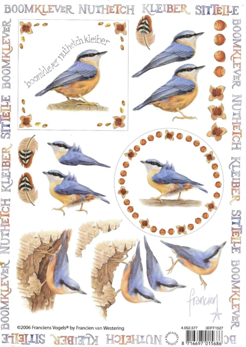 Knipvel Fauna - Dieren